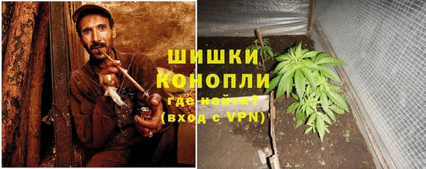 ГАЛЛЮЦИНОГЕННЫЕ ГРИБЫ Алексеевка