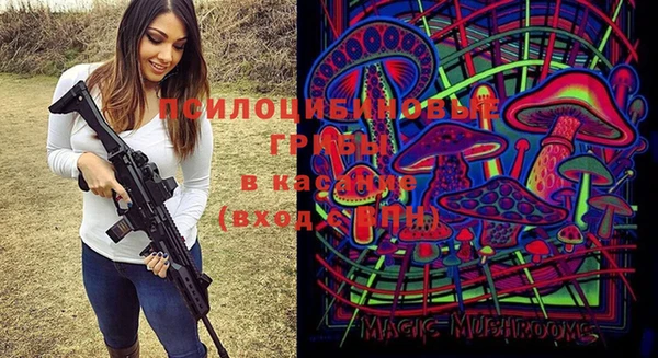 экстази Няндома